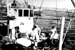 M/K"Brenning" i Nordøyan