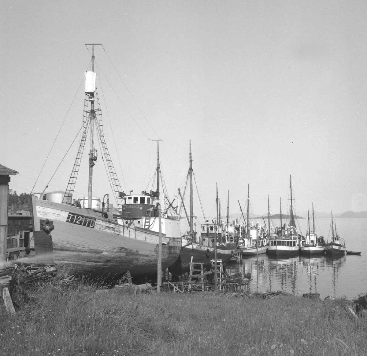 Fiskefartøyer ved Karl Hanssens verksted. På slippen til venstre står M/K "Blueback".