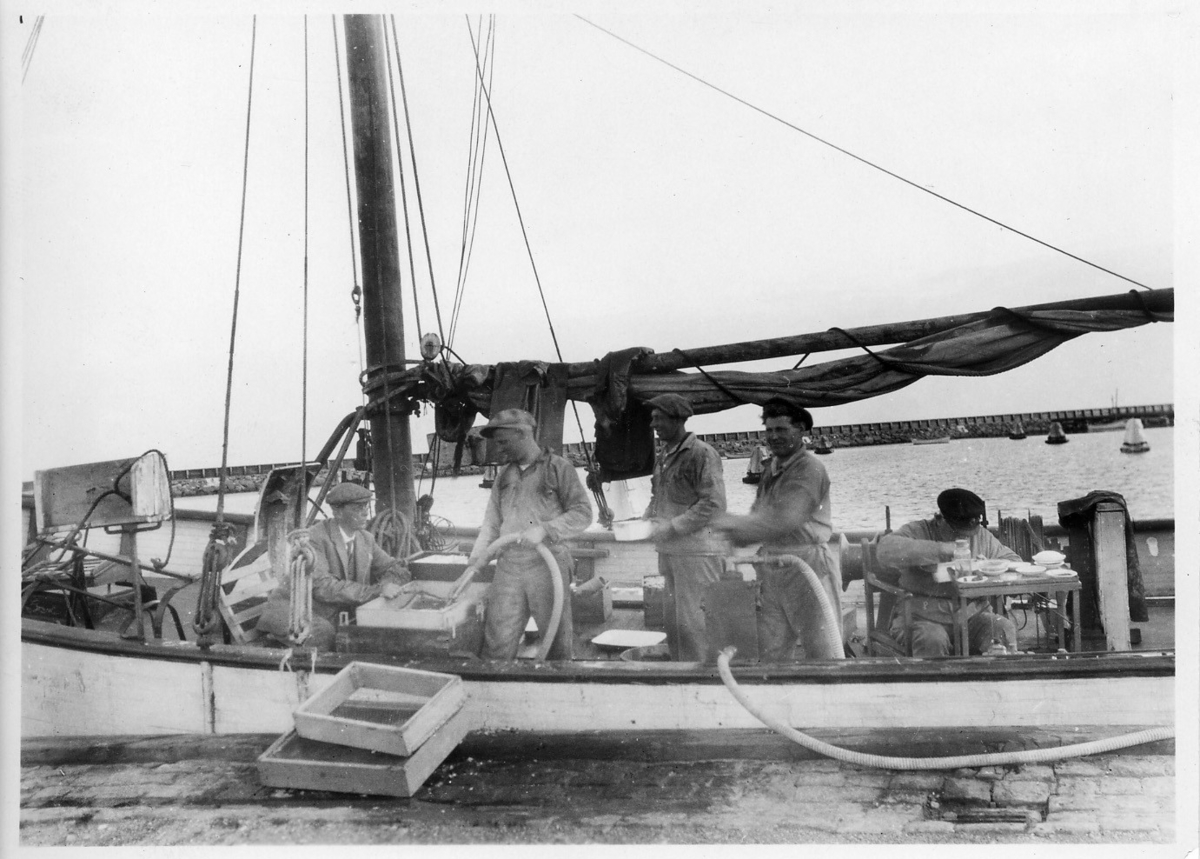 'Akka-expeditionen sommaren 1931: ::  :: Skandia i Anholts hamn. 5 män på båtdäck varav 2 sköljer vid såll och 1  längst till höger sitter vid bord troligen med preparat (Leonard Axel Jägerskiöld?) ::  :: Ingår i serie med fotonr. 2182-2234.'
