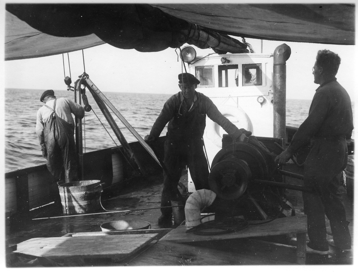 'Kattegattexpeditionen 1933: ::  :: 3 st män på däck på en båt, bottenhuggaren på väg upp. Trätunna. Keps. :: Sune Swärd längst till höger. ::  :: Ingår i serie med fotonr. 2804-2826.'