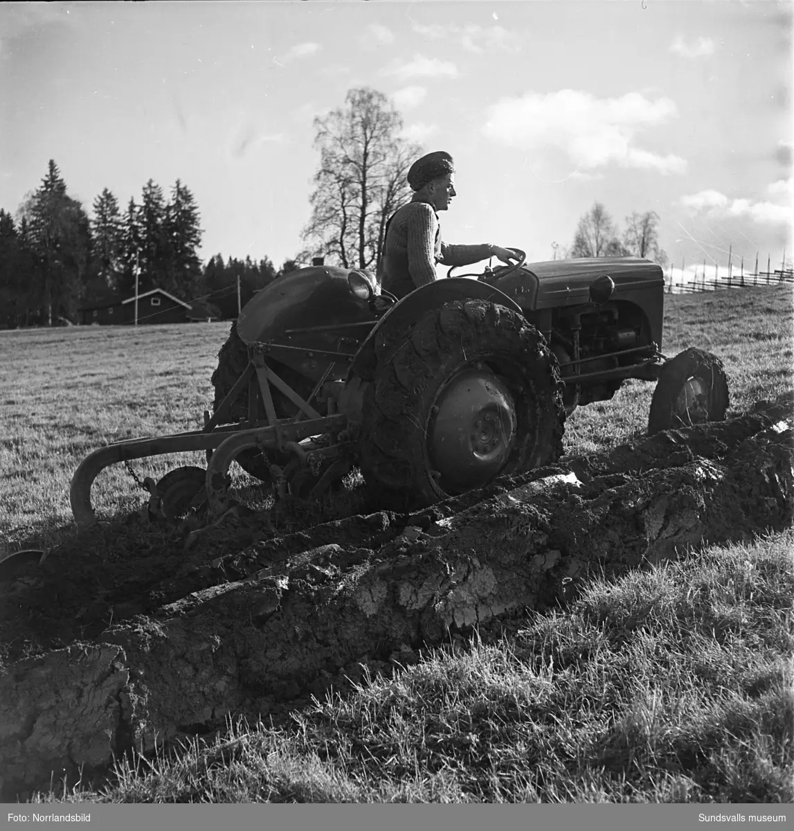 Demonstration av höstplöjning med en lantbrukstraktor i Norrböle, Attmar.