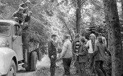 Skogrydding. En skoleklasse rydder vekk greiner og annet ned