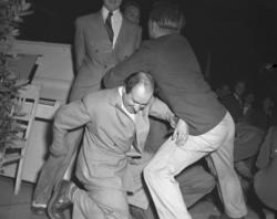 Vardens arkiv. "Sommerfuglen i Brekkeparken" 25.07.1953