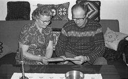 Suldal - Gårdsdrift - Landskap