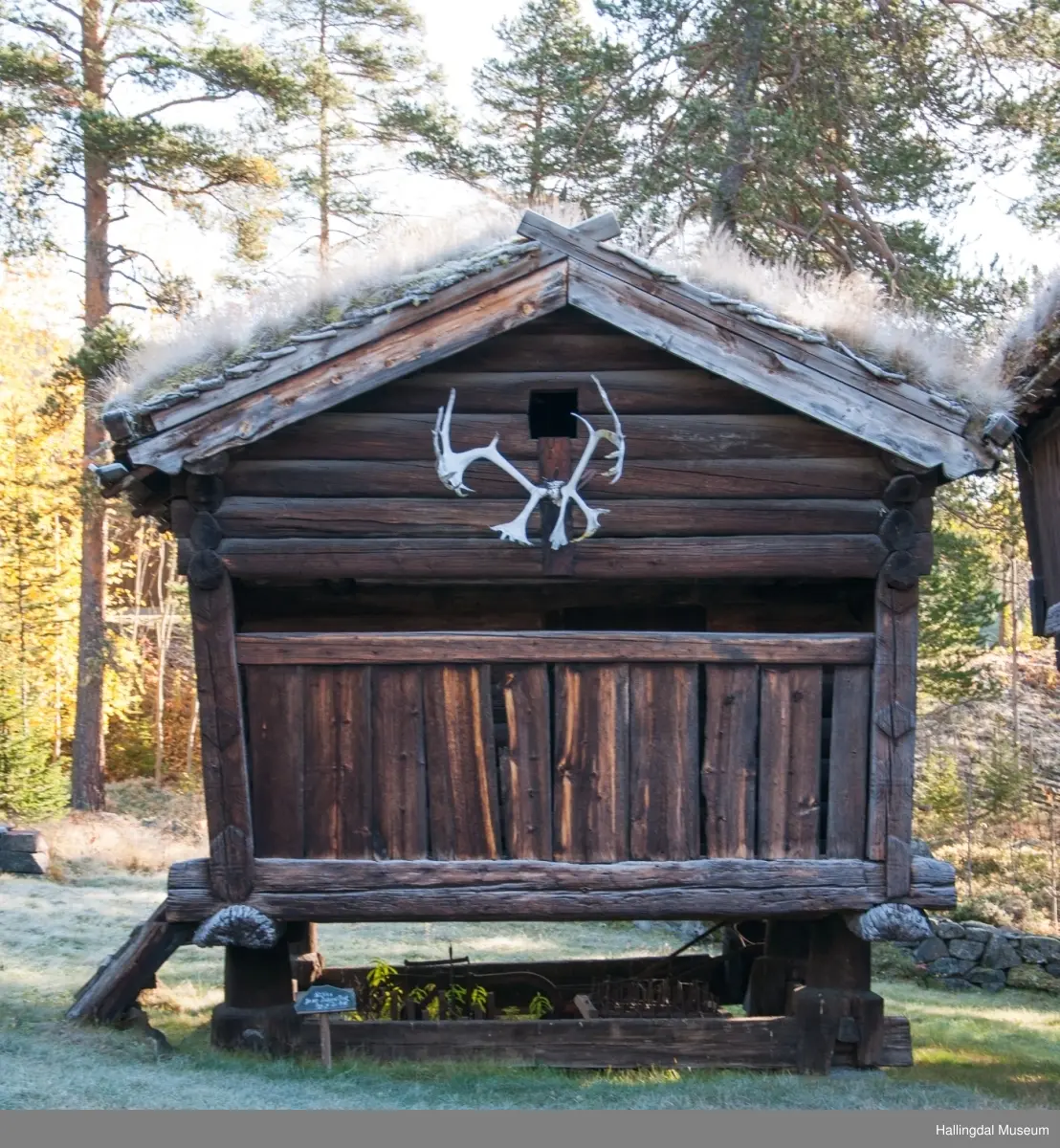 Stabbur fra søre nestegard i holet hallingdal museum ... Stuen og farve