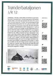 Trønderbataljonen I/R 12