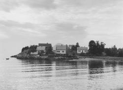 Tunet på Stadsneset i Sula Kommune.