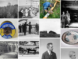 Redaksjonen anbefaler