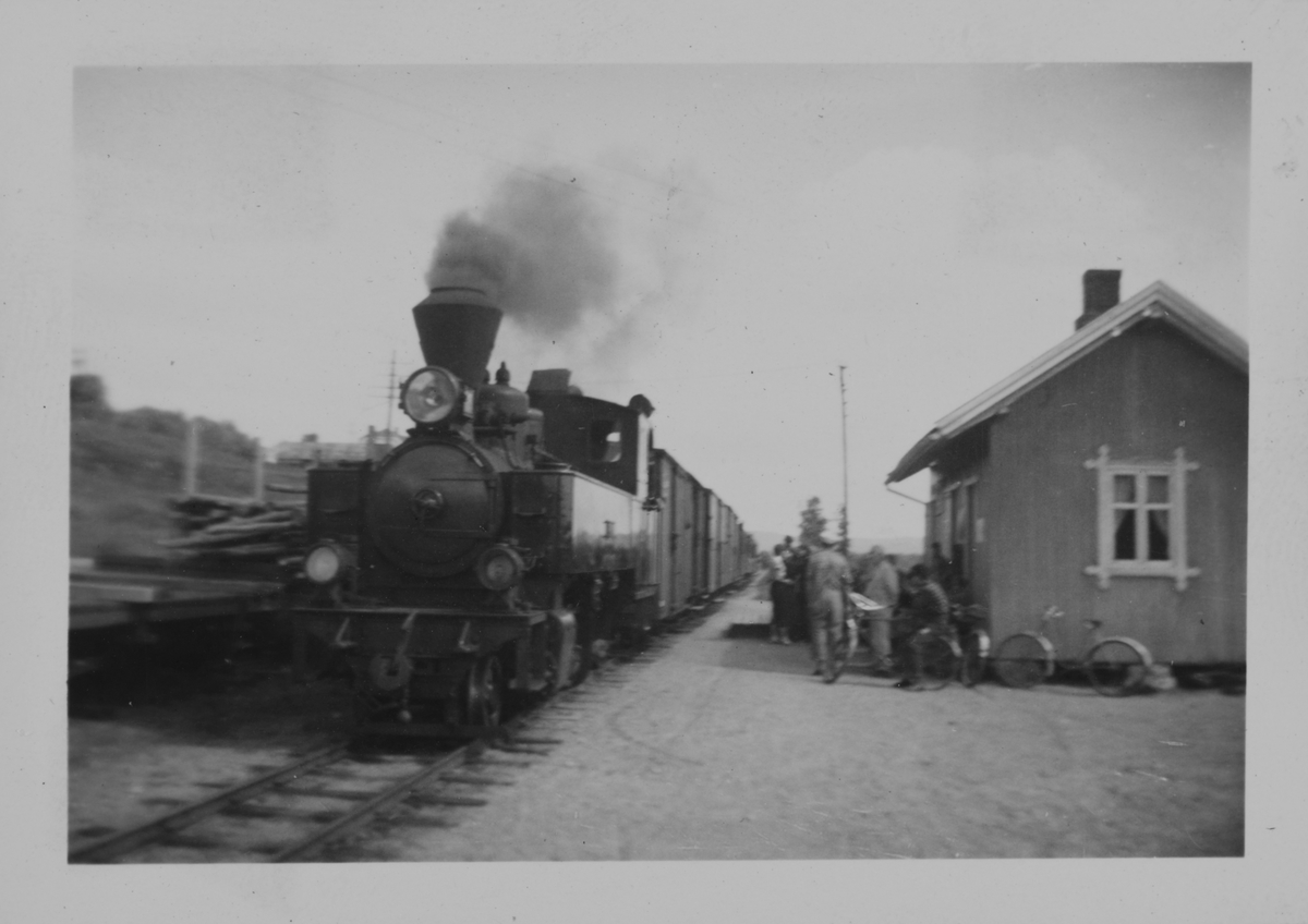Tog til Skulerud kjører inn på Hornåseng stasjon. Toget trekkes av damplokomotiv nr. 7 Prydz.