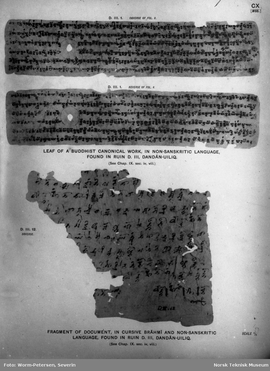 Fragmenter av dokumenter skrevet på brahmi og et ikke-sanskritisk språk