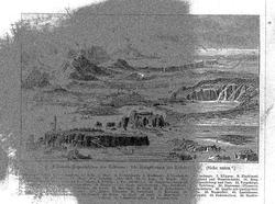 Plansje av dyr og planter som lever i vann