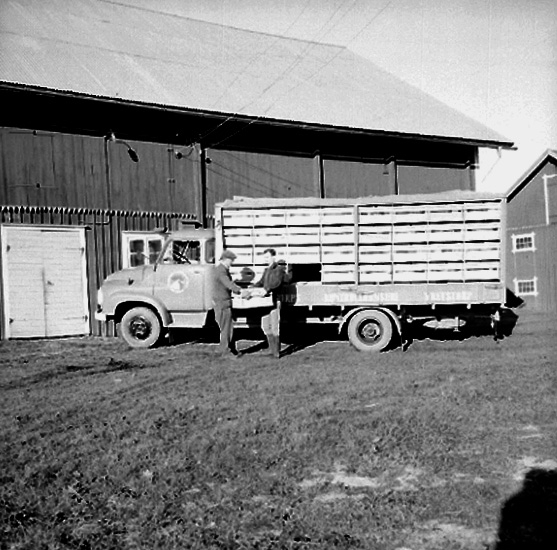 Stubbetorps Kontrollhönseri, lastbil och två personer.
Byggnad.