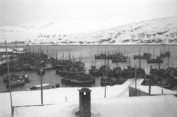 Hammerfest havn med mange fiskebåter. Foran på bildet ses ta