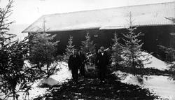 Begravelse på gården Krosby i Rødenes,  Marker ca. 1910. Ing