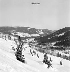 Vinterlandskap i Vestre Gausdal.  I forgrunnen ser vi ei åpe