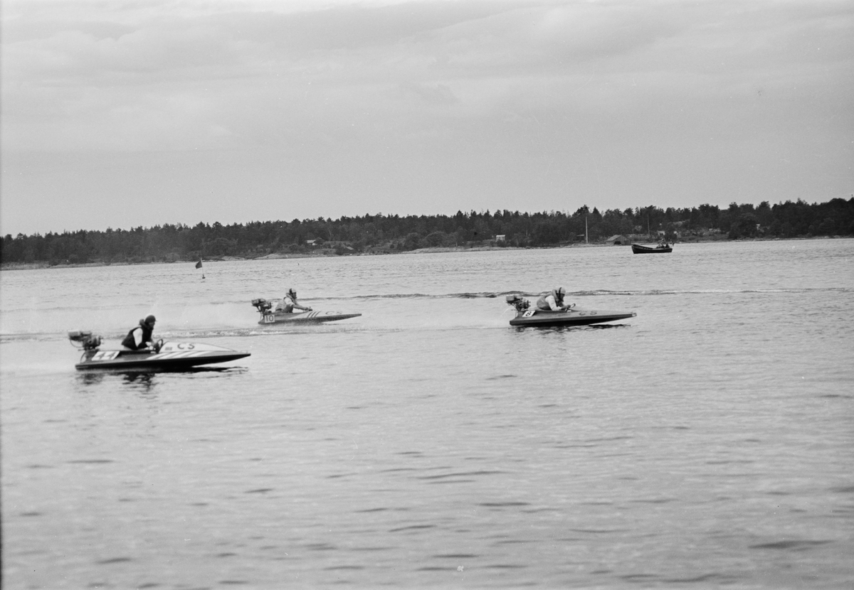 Båtar, racertävling, Öregrund, Uppland 1952
