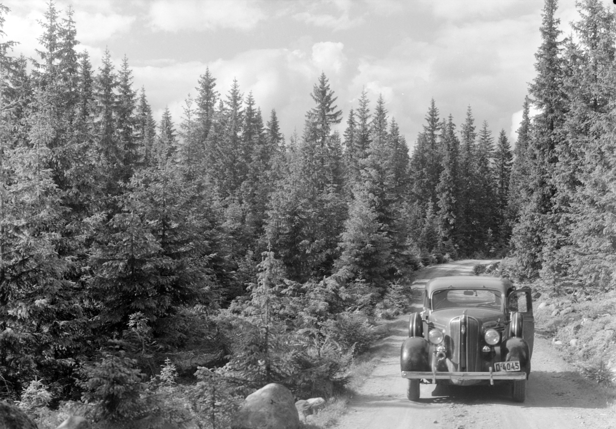 Løten Almenning. Skogsbilveg, personbil, D-4045. Plymouth 1936. Kan evt. være varebil.