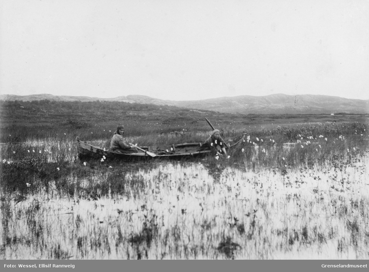 Skjæring av sennagress mellom Førstevannet og Andrevannet, Kirkenes ca. 1900.