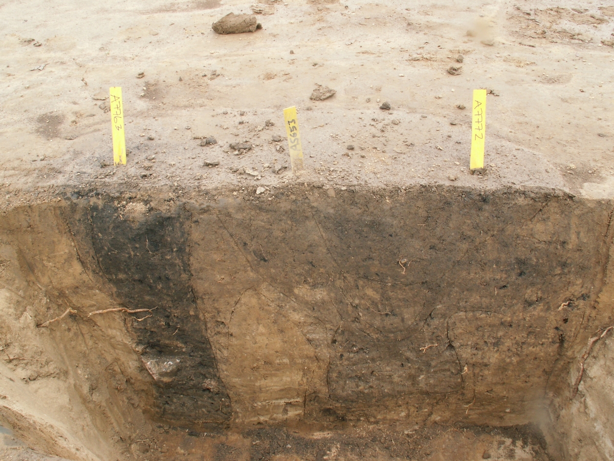 Arkeologisk slutundersökning, Raä 433, A5653 nedgrävning, A7763 nedgrävning och A7772 nedgrävning, Fansta, Bälinge socken, Uppland, 2006