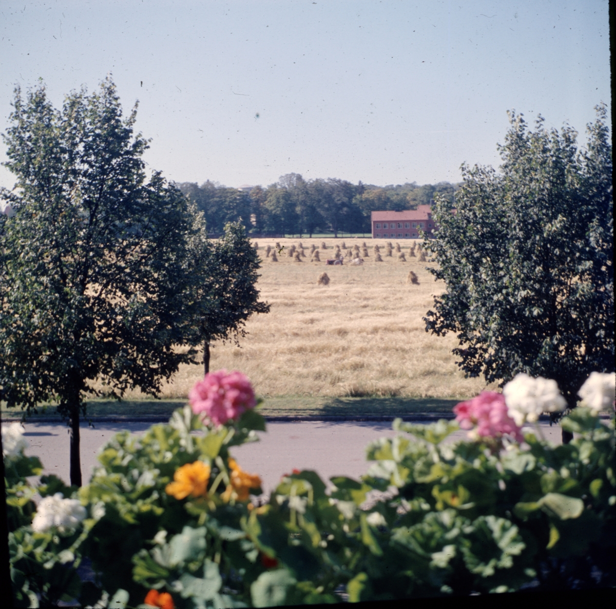 "Gärdet där Humanistiskt centrum kom att byggas", Uppsala september 1956