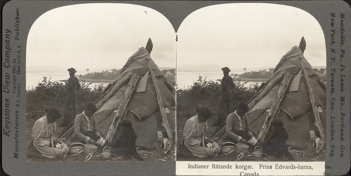Stereobild av indiankvinnor vilka flätar korgar framför tält, Prins Edwards-örarna, Canada.