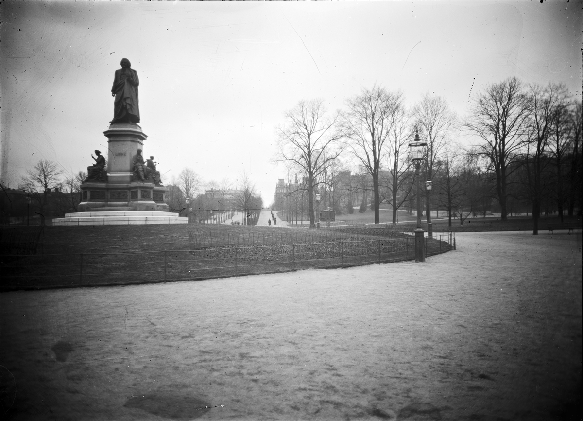 Staty av Carl von Linné i Humlegården, Stockholm.