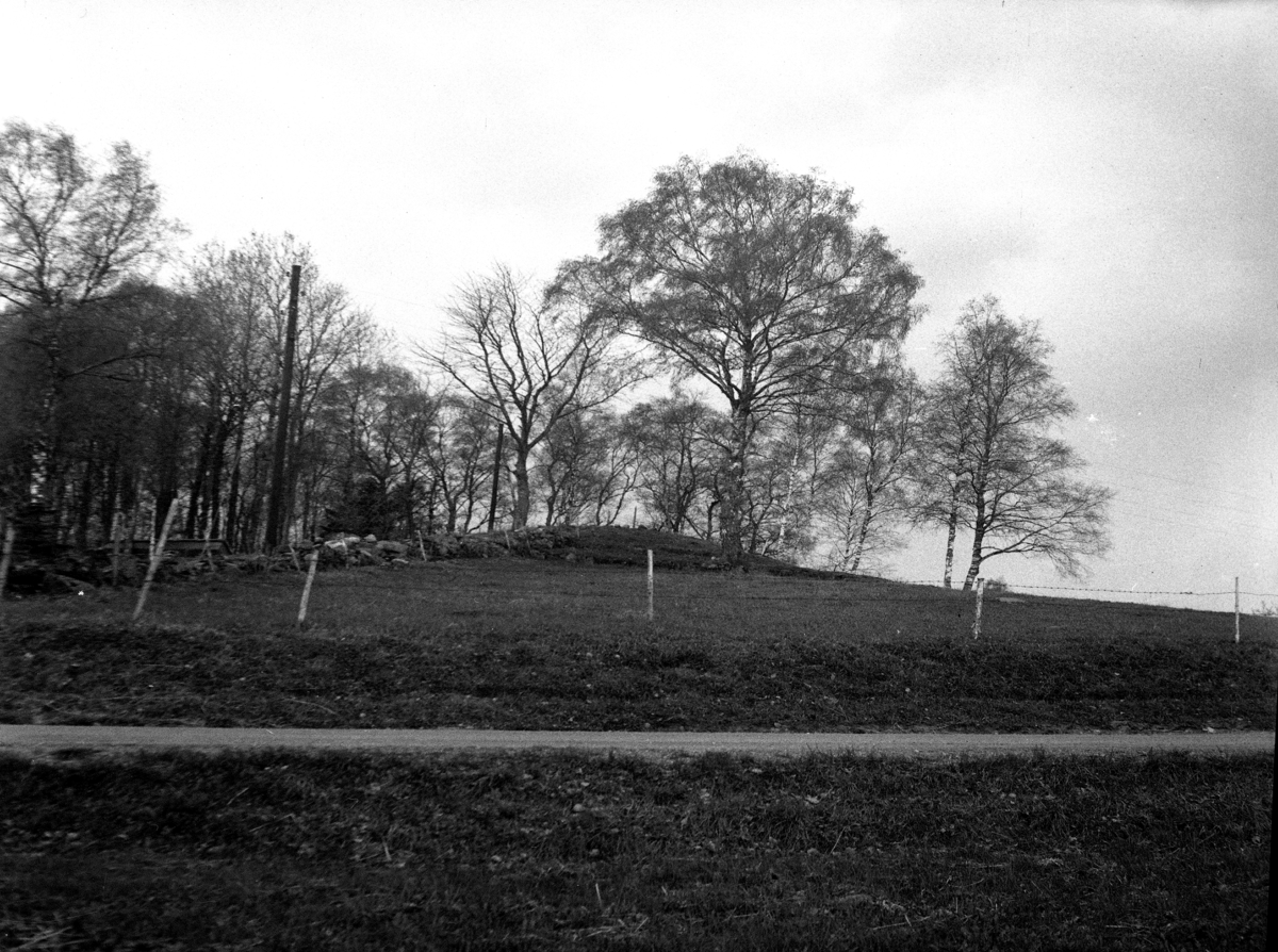 Nolgården. Gravhög (odlingsröse?) i ängsmark, ca 200 m öster om gården. Nr. 30 i H. Svenssons inventering.