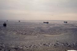 Lasteskip samlet utenfor kysten av Newfoundland.