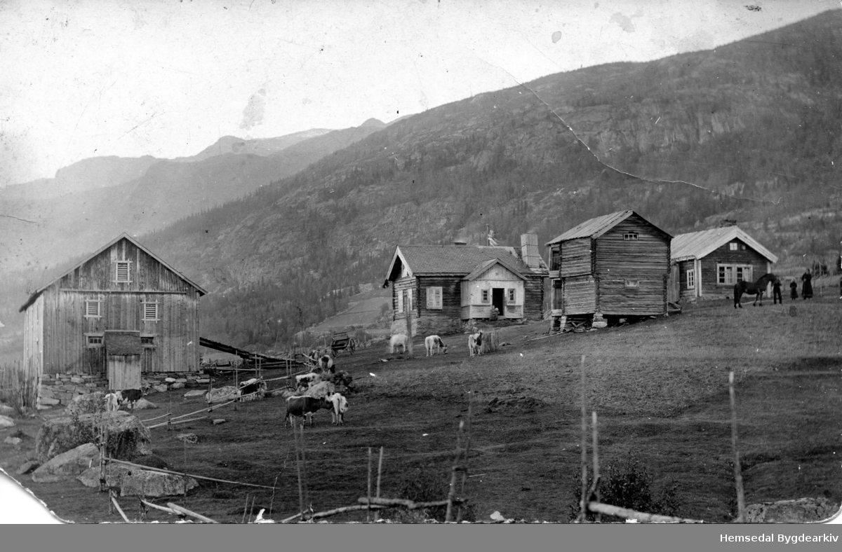 Garden Langehaug, 54.8, i Hemsedal, ca..1910