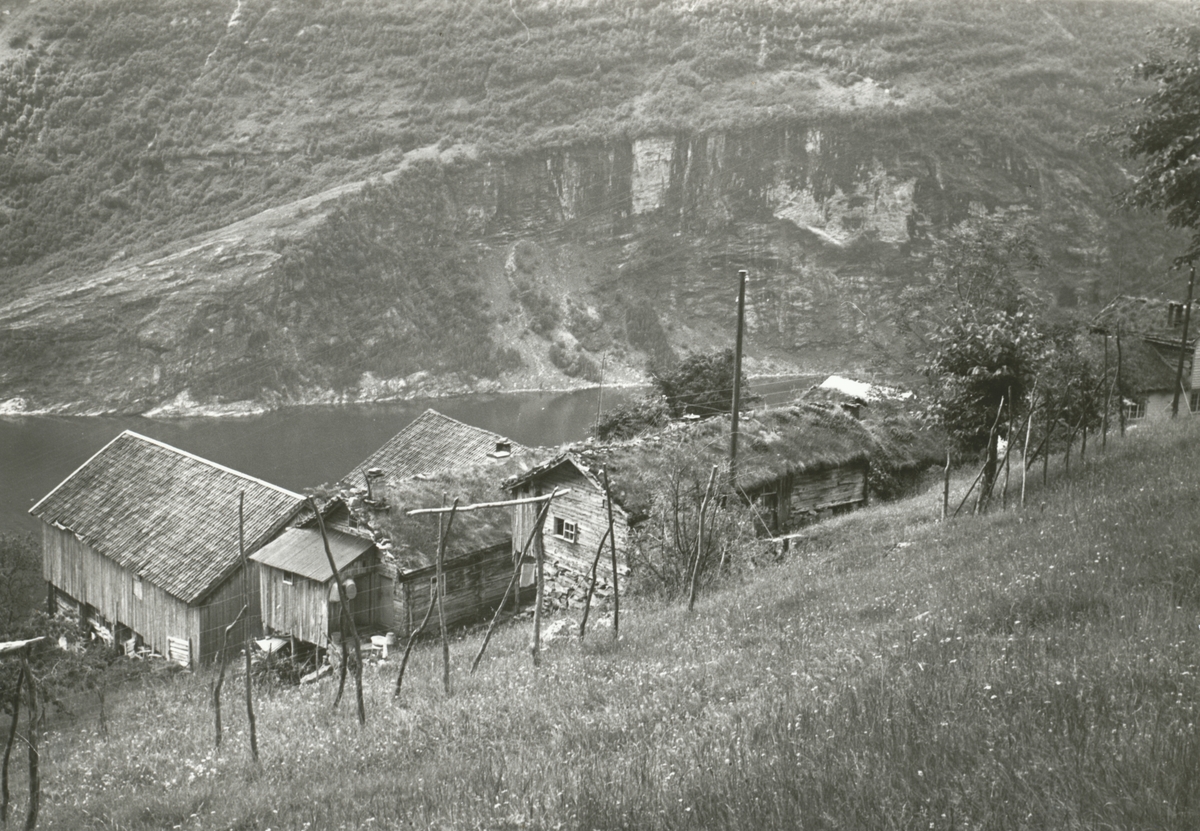 Mølltunet på Møll i Geirangerfjorden.