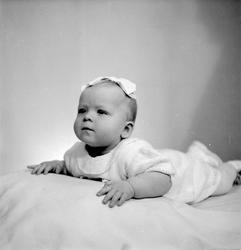 Magnhild Sigrid Bergli