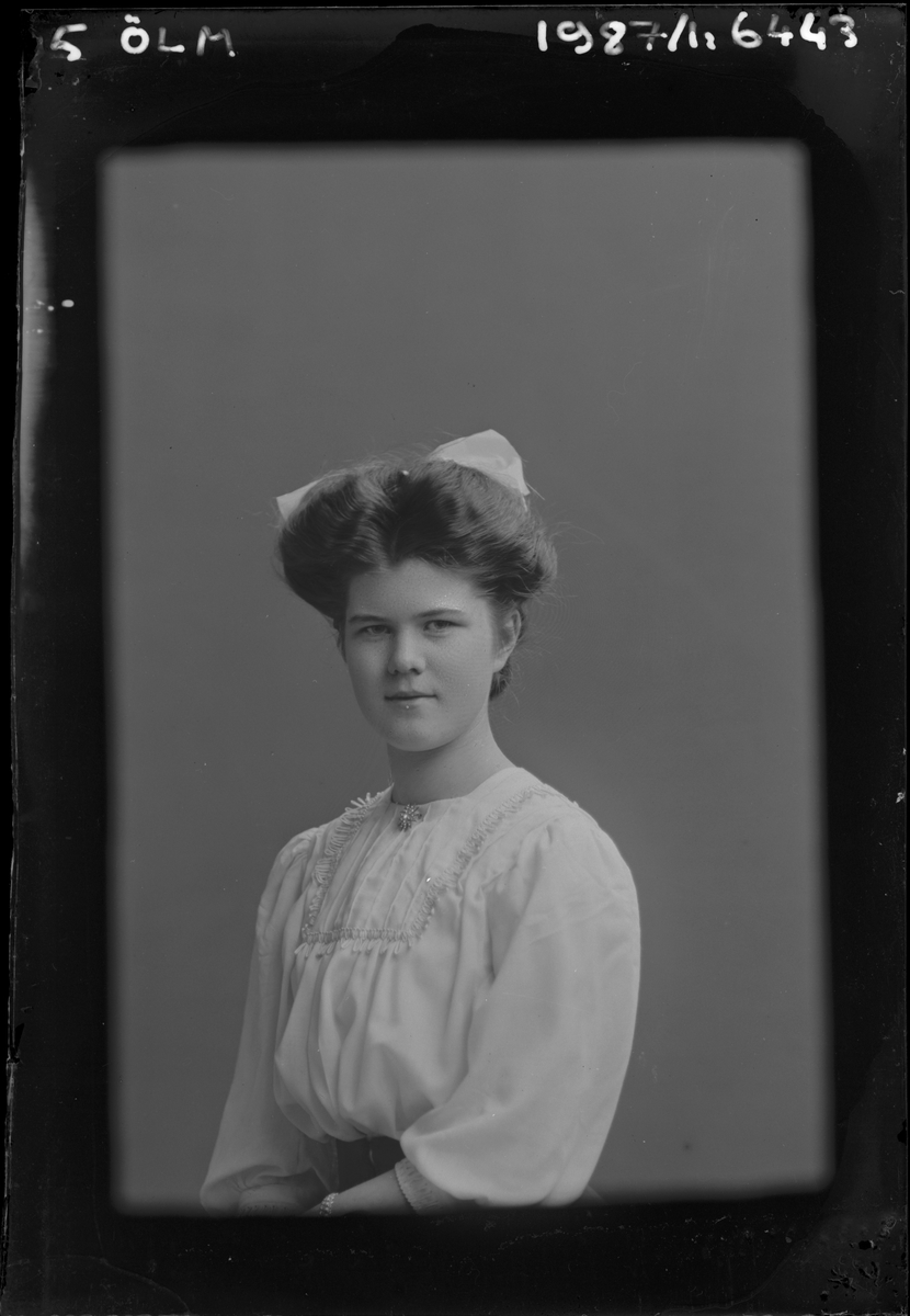 Porträtt från fotografen Maria Teschs ateljé i Linköping. 1910. Beställare: Aina Löwendahl.