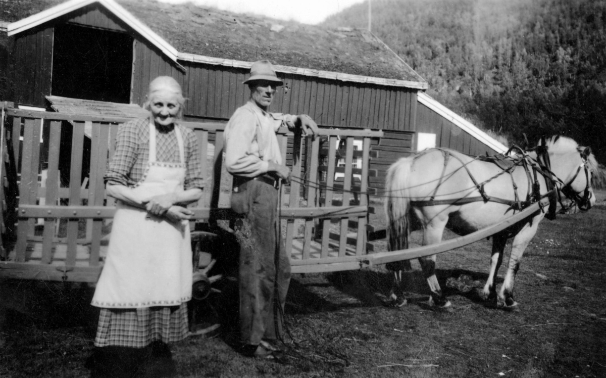 Johanna og Nils Kjosvold ved hest og vogn