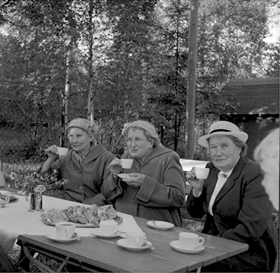 Pensionärsfest i Folkparken.