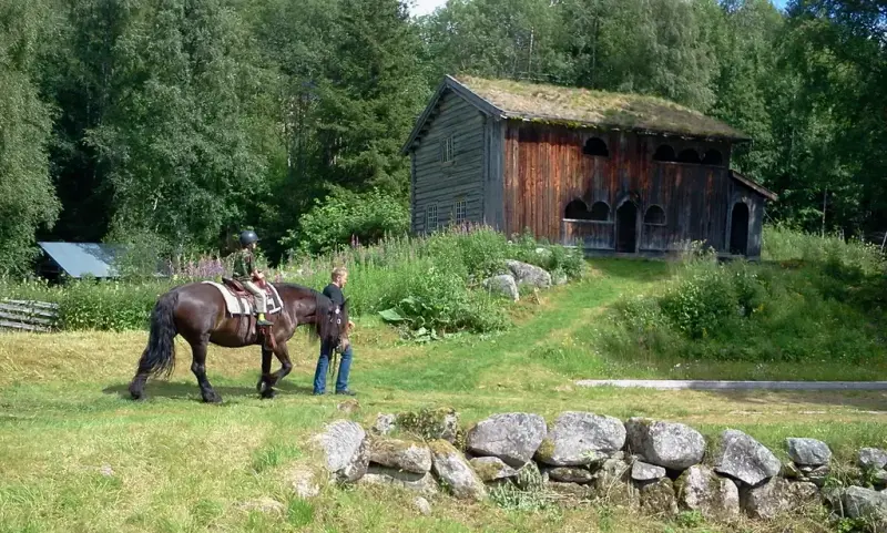 Barn rir på hest mens en person leier hesten. De befinner seg foran Eltdalstugua.