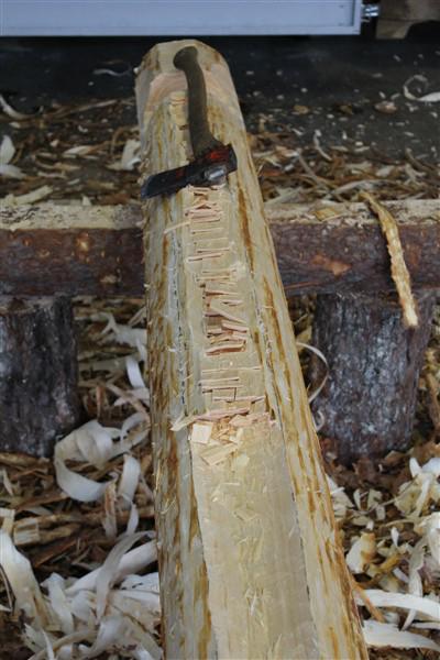 bilde av prosess. Hogging av medrag med øks langs en tømmerstokk. Øksa ligger oppå stokken i medraget som er begynt å bli hugget ut.