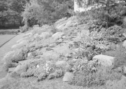 Balke, major - Villa, ute og inne (Vi selv)