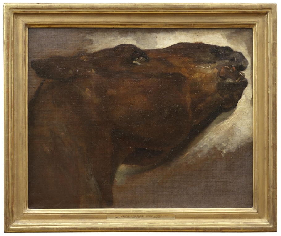 I Géricaults efterföljd utvecklades i Frankrike under 1800-talet ett intresse för anatomiska studier av döda människor och djur. I många av dessa målningar kombinerades en vetenskaplig blick med en skräckblandad förtjusning inför de morbida motiven. Intresset för anatomi, död och förruttnelse gav sig också till känna på flera håll i den samtida kulturen. Den här målningen är utförd av en av de konstnärer i Géricaults krets som anslöt sig till denna typ motiv.