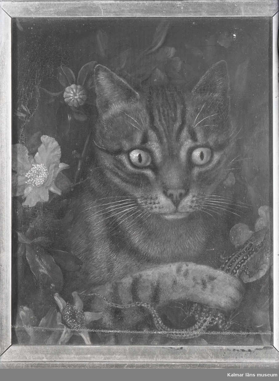 Porträtt av katt med ödla.