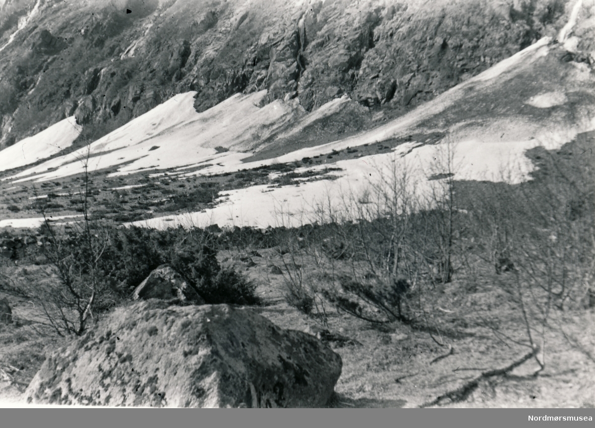 Bilde er nederst ved fjellskråninga i Oreiman ovafor Furu der vi ser både snø og steiner som har kommet ovenfra.