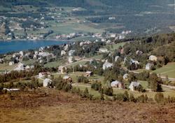 Flyfoto fra Tingvoll. Bildet er datert 30. juli 1963, og fot