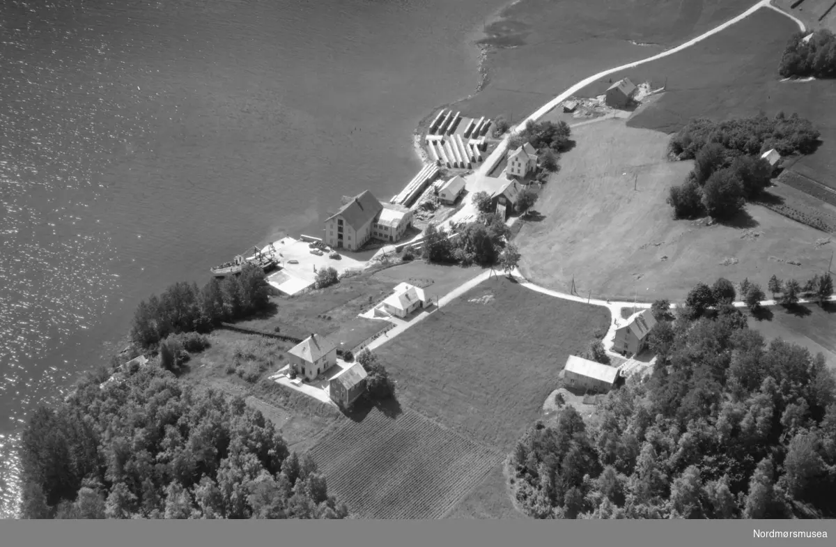 Foto fra Angvik tønne- og trevirkefabrikk i Angvik, Gjemnes kommune. Fotografert den 17. november 1950, av Widerøes flyveselskap. Fra Nordmøre museums fotosamlinger. Reg: EFR2015
