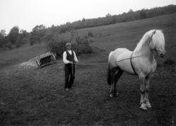Mann med hest i Eidsvåg, Fra Nordmøre Museum si fotosamling