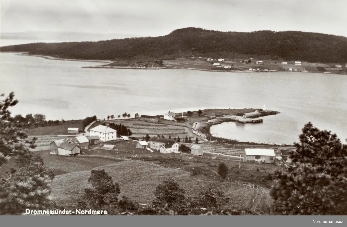 Postkort med motiv fra Dromnessundet i Aure kommune, hvor vi ser 
gårder liggende nær sjølinjen. Bildet er trolig fra perioden 1951 til 1955. Fra Nordmøre Museums fotosamlinger. reg: EFR
