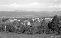 Postkort med motiv fra Rindal i Rindal kommune. Postkortet e