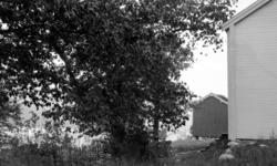 Foto fra et gårdbruk.
Usikkert hvor og når. Trolig i Nesset 