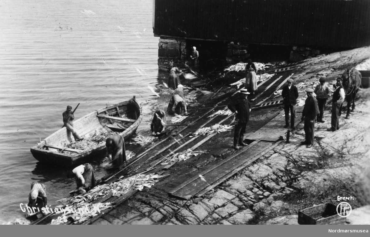 Fiskevasking på bergene i Kristiansund. Bildet er trolig fra tiden rundt 1900.
 Fra Nordmøre museums fotosamlinger.

