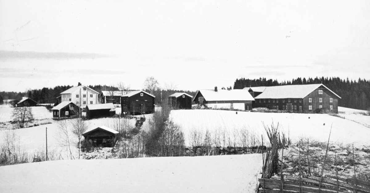 Skøyen gård, Løten, oversikt, bebyggelsen, vinter.