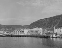 Hammerfest aug. 1960
