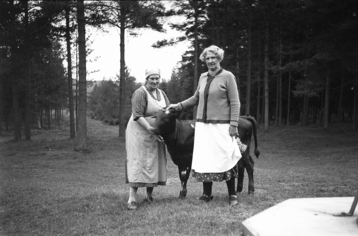 Två kvinnor med en kalv i Storvik.